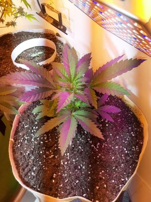 20221118_113727.jpg 20221118_113727.jpg