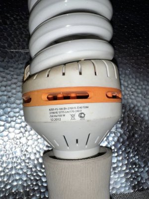 105FCBBC-9872-4809-A4CC-6FF6287E4B83.jpeg 105FCBBC-9872-4809-A4CC-6FF6287E4B83.jpeg