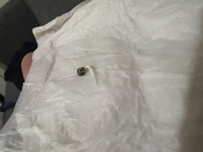 5F9923C4-6DDF-4D90-A125-C8A92B00704D.jpeg 5F9923C4-6DDF-4D90-A125-C8A92B00704D.jpeg