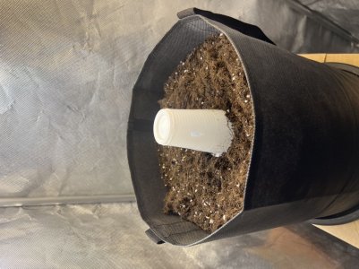 81882F18-9E8B-48D1-A751-24999AF767A2.jpeg 81882F18-9E8B-48D1-A751-24999AF767A2.jpeg