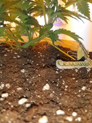 20221120_114158.jpg 20221120_114158.jpg