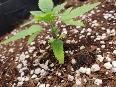 20221120_105527.jpg 20221120_105527.jpg