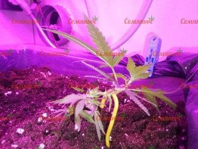 2139-wm-76418.89999999106_watermarked.jpg 2139-wm-76418.89999999106_watermarked.jpg