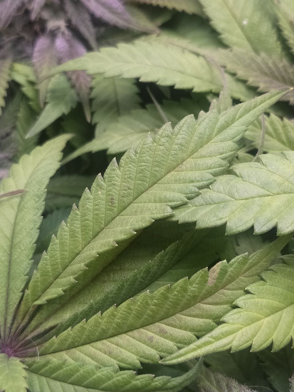 3 — копия.jpg 3 — копия.jpg