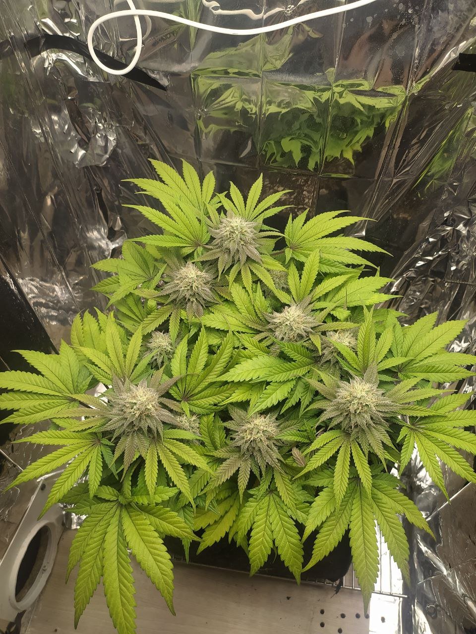 2 — копия.jpg 2 — копия.jpg