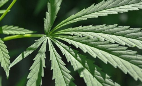 1669200665849.png 1669200665849.png