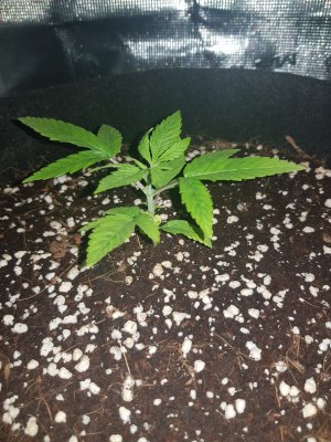 20221123_141156.jpg 20221123_141156.jpg