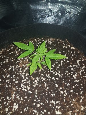 20221123_141200.jpg 20221123_141200.jpg