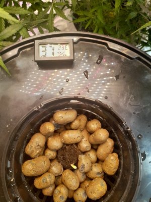 20221126_000358.jpg 20221126_000358.jpg