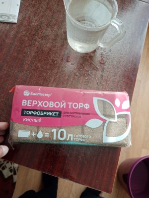 IMG_20221113_131642.jpg IMG_20221113_131642.jpg