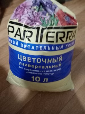 IMG_20221111_173441.jpg IMG_20221111_173441.jpg