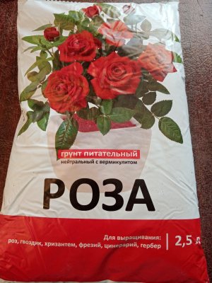 IMG_20221111_164351.jpg IMG_20221111_164351.jpg