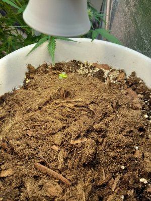 20221127_181702.jpg 20221127_181702.jpg