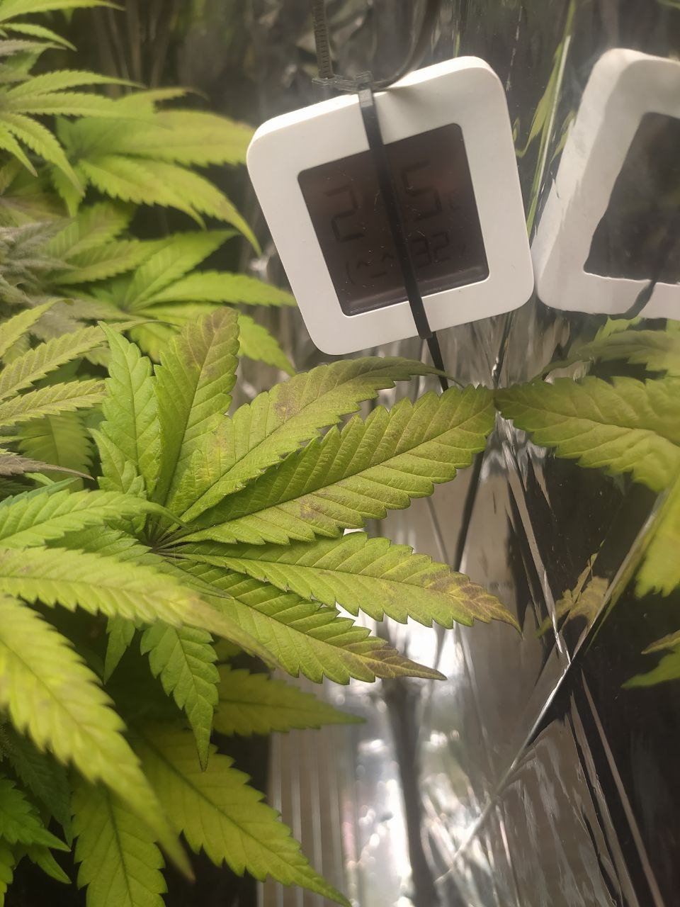 2 — копия.jpg 2 — копия.jpg