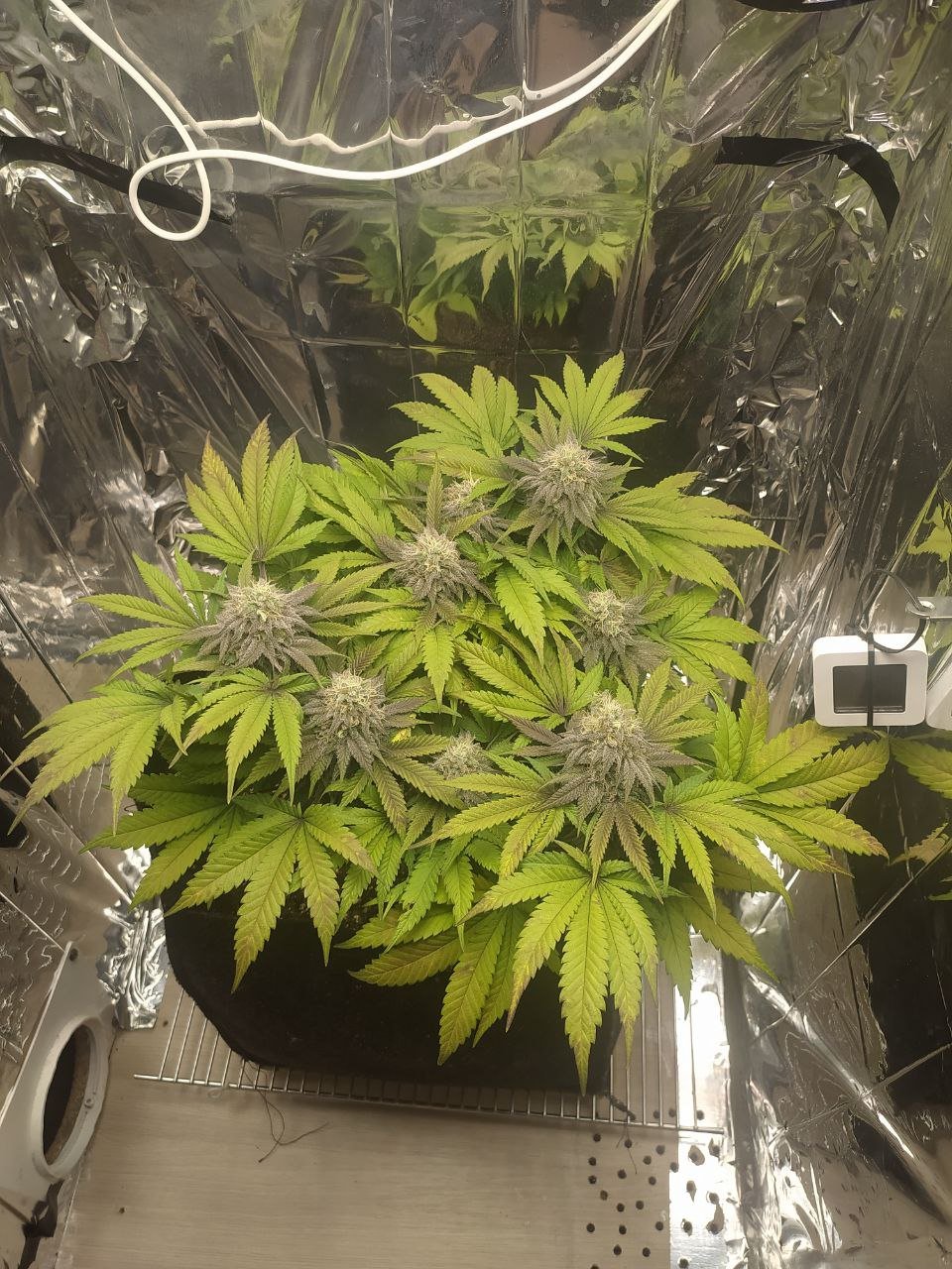 1 — копия.jpg 1 — копия.jpg