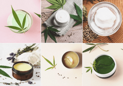 1669639289388.png 1669639289388.png