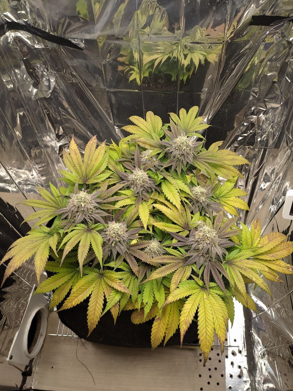 4 — копия.jpg 4 — копия.jpg