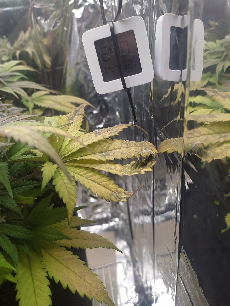 о — копия.jpg о — копия.jpg