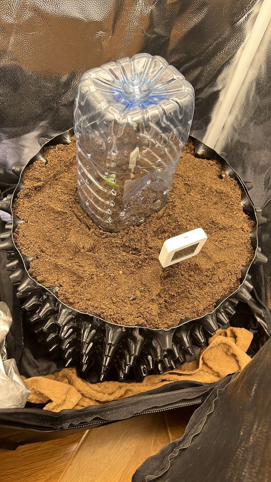 Новый горшок=).jpeg