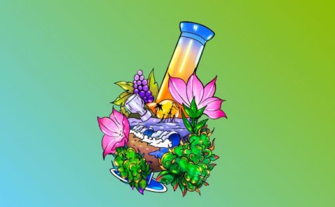 1-Terpeny-konopli.jpg 1-Terpeny-konopli.jpg