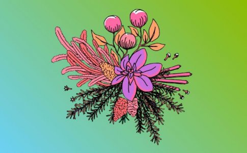 кариофиллен кариофиллен