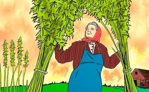 История технической конопли