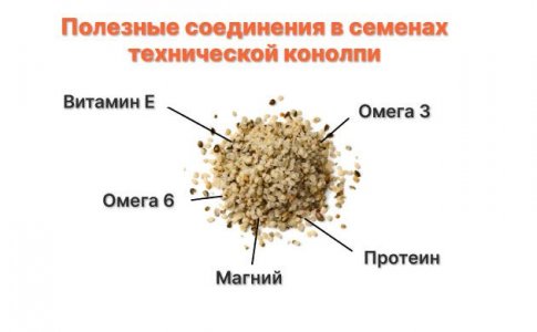 Техническая конопля и медицина