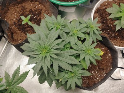 20221204_125724.jpg 20221204_125724.jpg