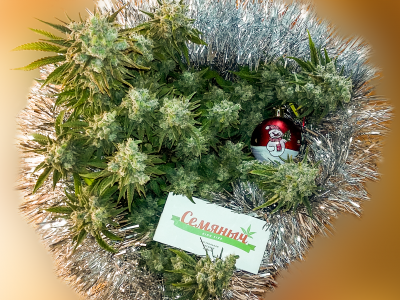 1670262206542.png 1670262206542.png