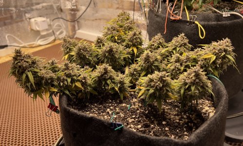 937432AD-6DF2-4C92-A501-88602458957C.jpeg 937432AD-6DF2-4C92-A501-88602458957C.jpeg