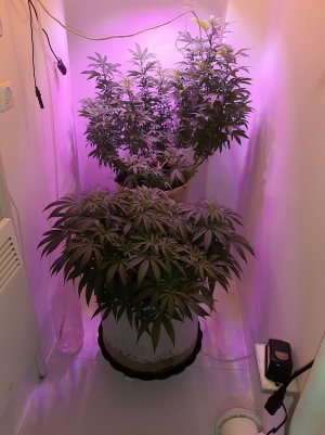 20221207_120411.jpg 20221207_120411.jpg