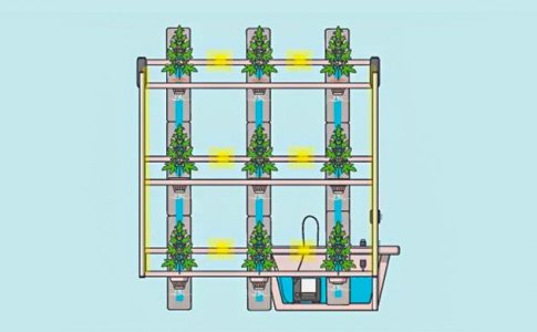 Стоечное выращивание Стоечное выращивание
