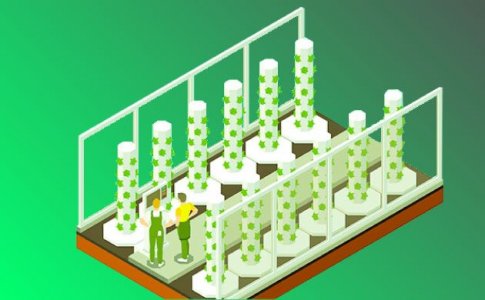 Башенное выращивание Башенное выращивание