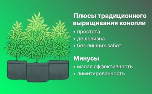 Традиционный гров Традиционный гров