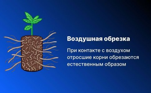 Воздушная обрезка против ручной Воздушная обрезка против ручной