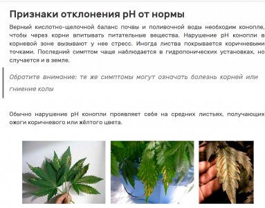 Снимок экрана (37).png