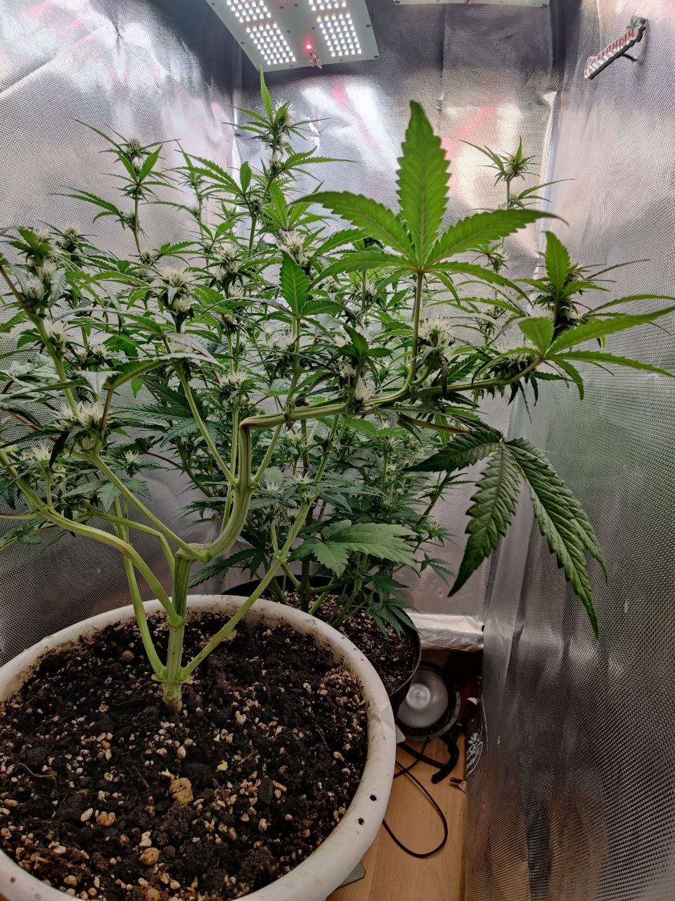 photo_5226657118705271852_y.jpg photo_5226657118705271852_y.jpg