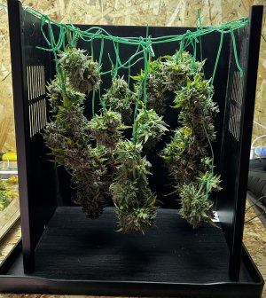 05B65357-1D17-4C5E-B404-CABEA00441C1.jpeg 05B65357-1D17-4C5E-B404-CABEA00441C1.jpeg