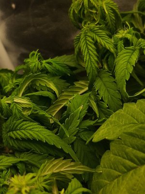 20221211_170419.jpg 20221211_170419.jpg