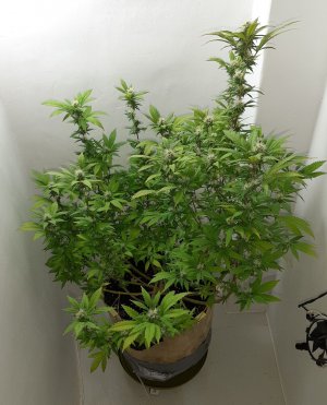 20221212_134254.jpg 20221212_134254.jpg