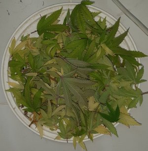 20221212_134152.jpg 20221212_134152.jpg