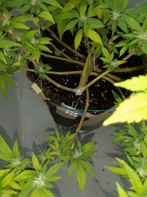 20221212_134206.jpg 20221212_134206.jpg