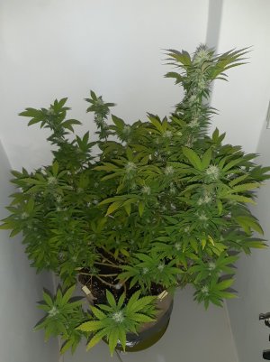 20221212_142722.jpg 20221212_142722.jpg