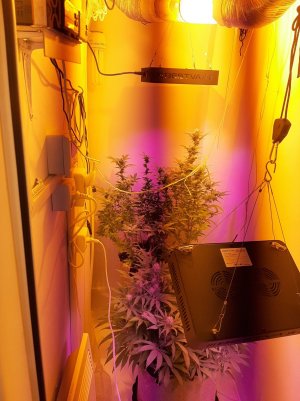 20221212_142647.jpg 20221212_142647.jpg