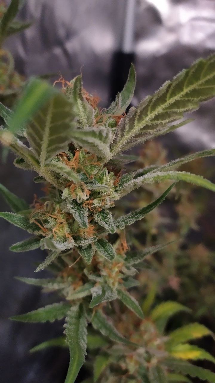 photo_2022-12-12_18-08-30 (3).jpg