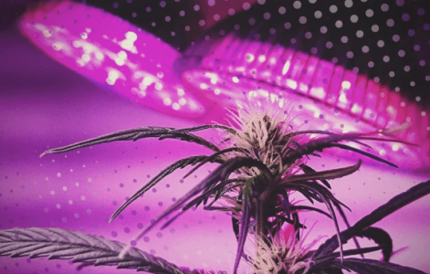 1670856338328.png 1670856338328.png