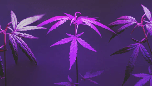 1670856540402.png 1670856540402.png