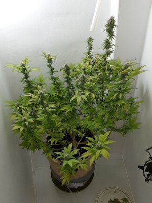 20221213_104523.jpg 20221213_104523.jpg