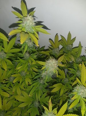 20221213_104304.jpg 20221213_104304.jpg