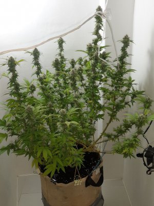 20221213_131226.jpg 20221213_131226.jpg